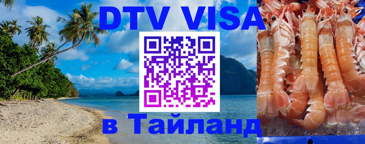 Оформление DTV визы под ключ: стоимость и тарифы, только загранпаспорт - 18.11.2025 